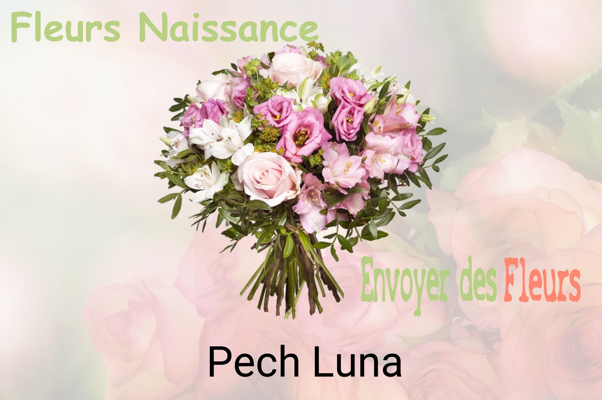 Bouquet de fleurs de naissance livré à Pech-Luna