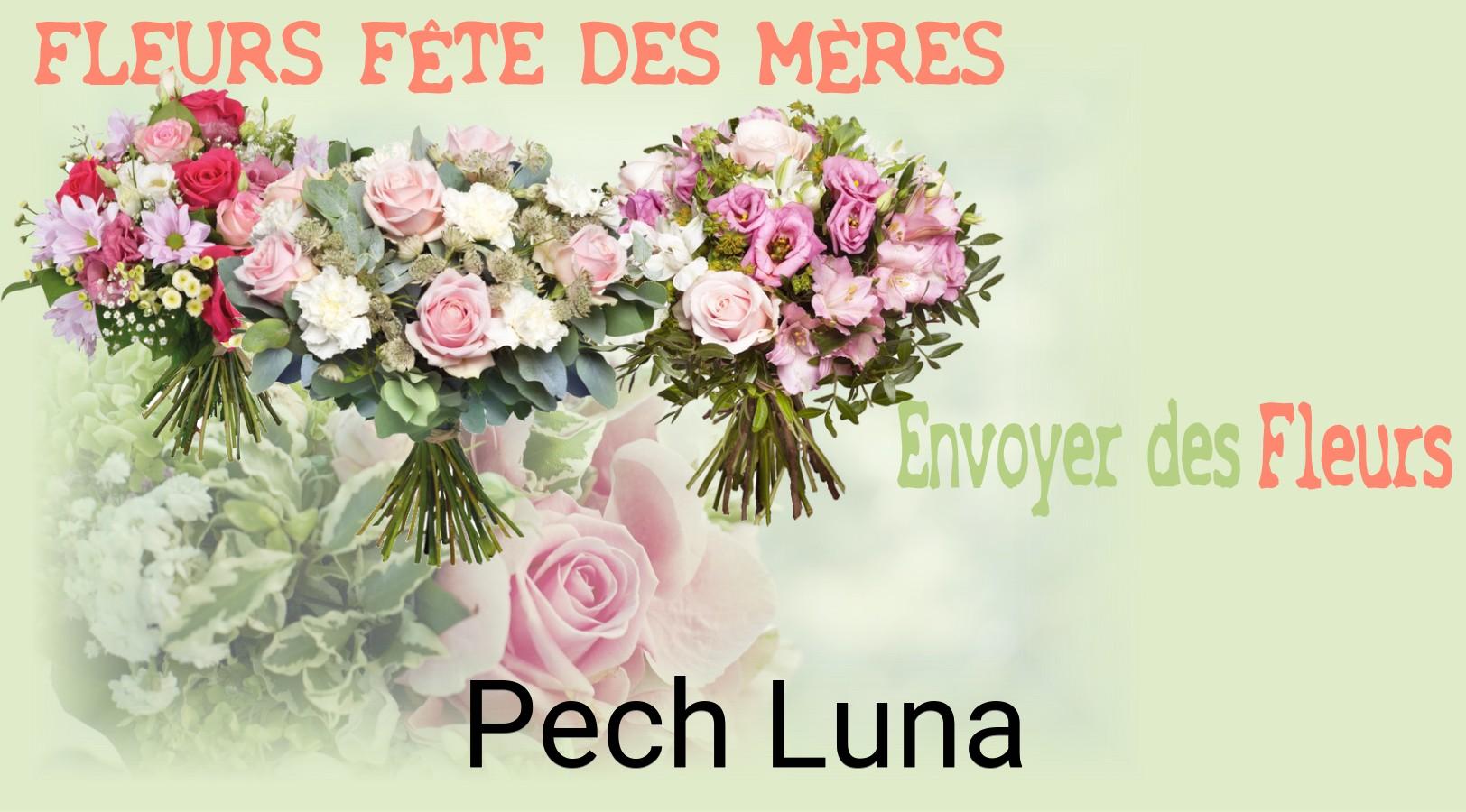 Bouquet de Fête des Mères livré à Pech-Luna